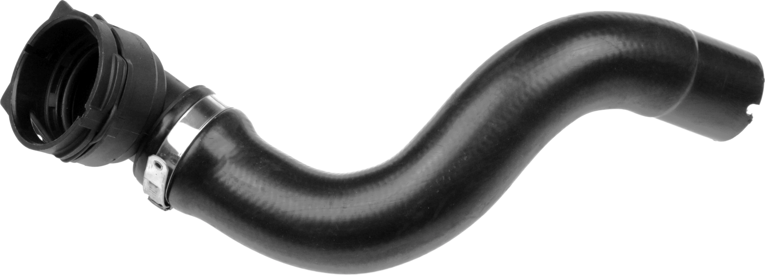 R11519