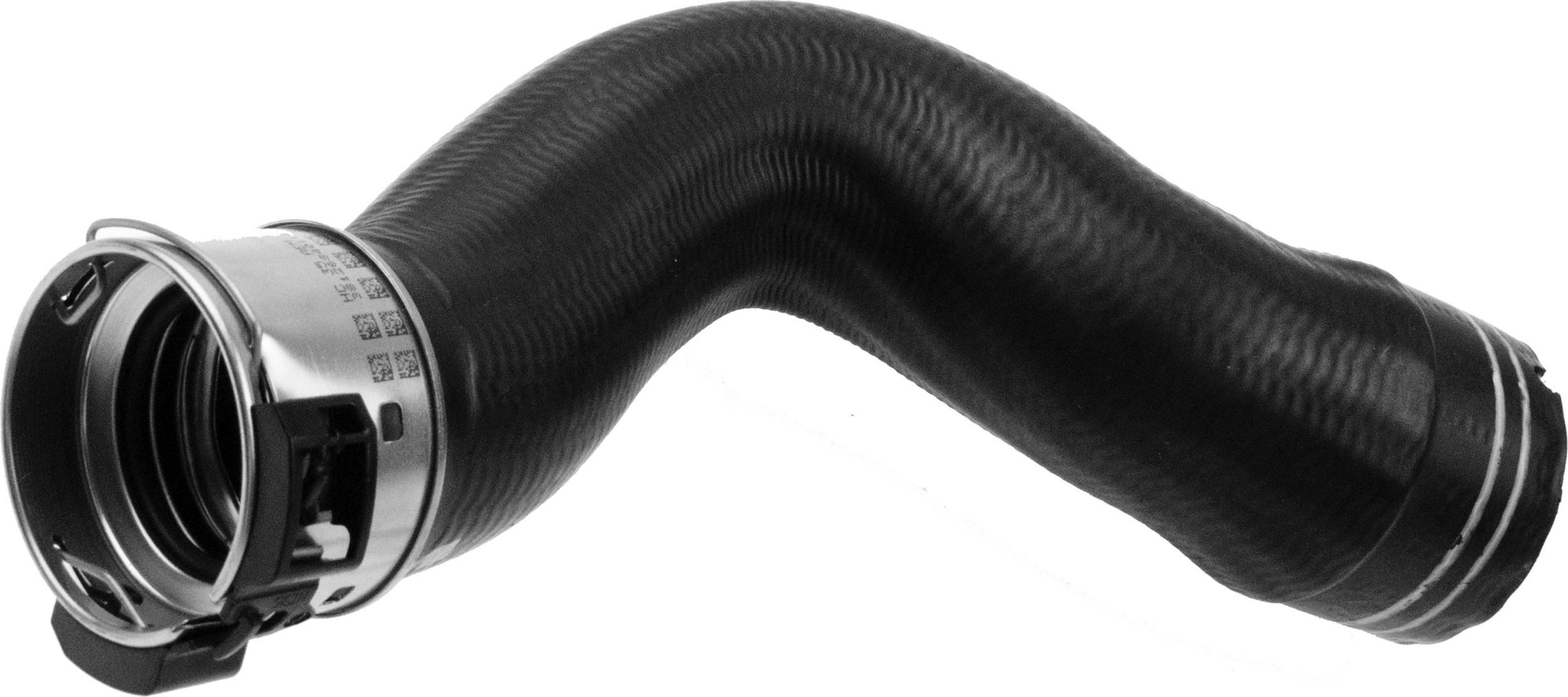 R11631