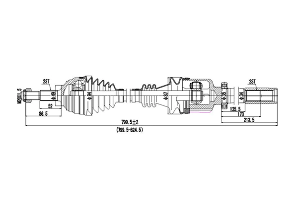 DDS250440
