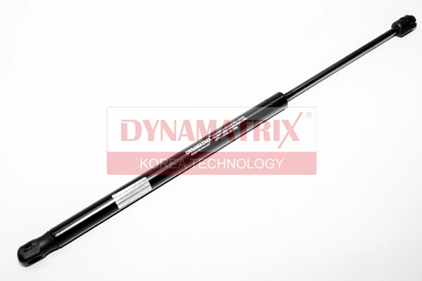 DGS919913