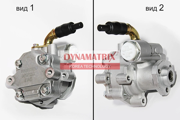 DPSP213