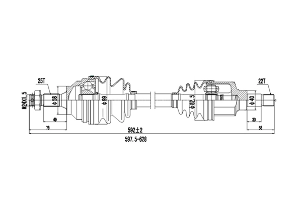 DDS210204