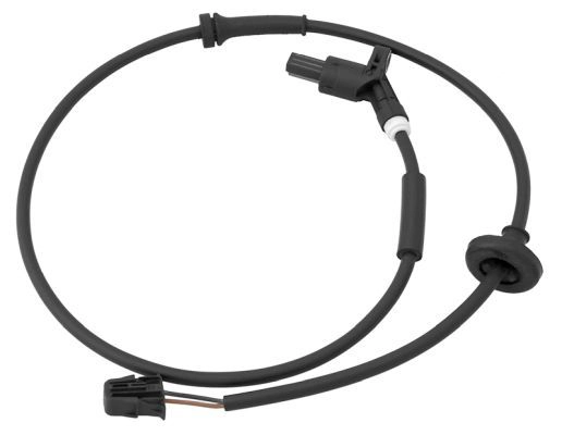BSW1198