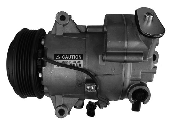 FZ6