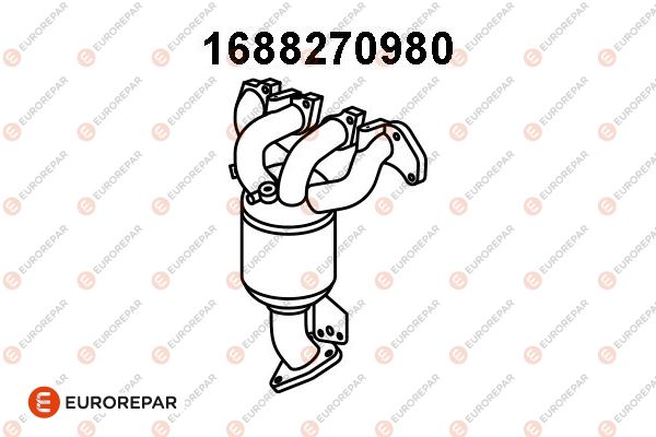 55566924
