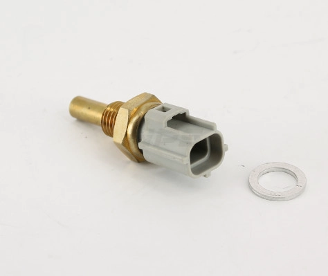 T562A06