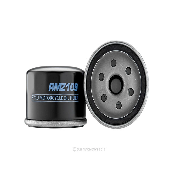 RY-RMZ109