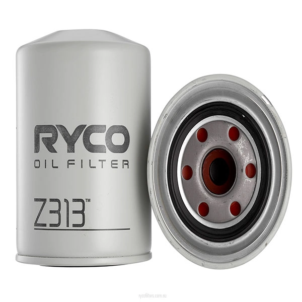 RY-Z313