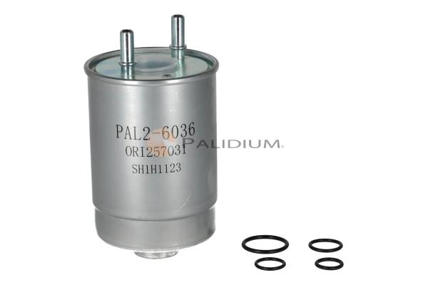 PAL2-6036