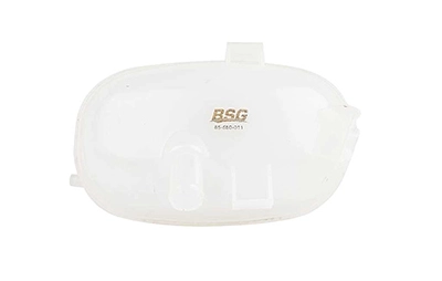 BSG65-550-011