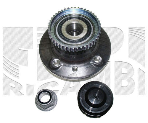 RC3065