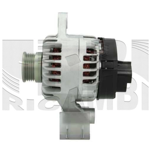 AMM238