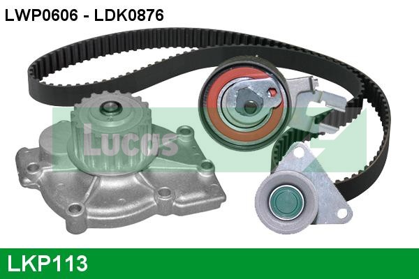 LKP113