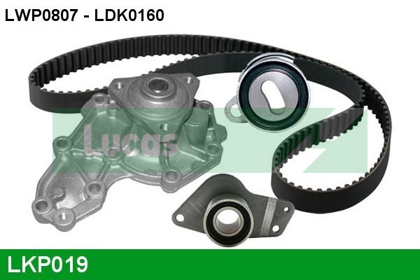 LKP019