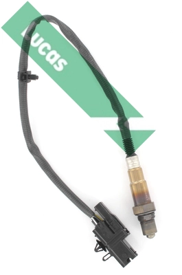 LEB5307