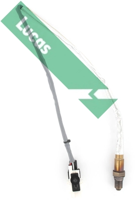 LEB5303