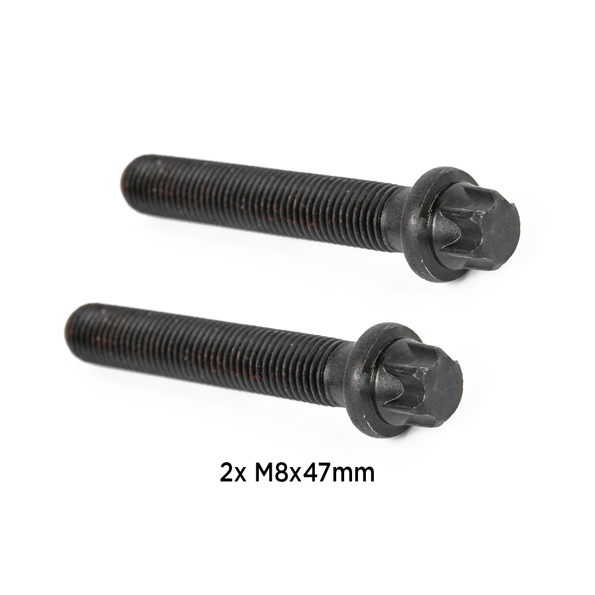 BS0024