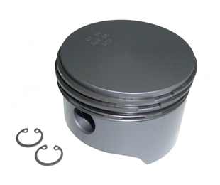 51541017201 (PISTON)