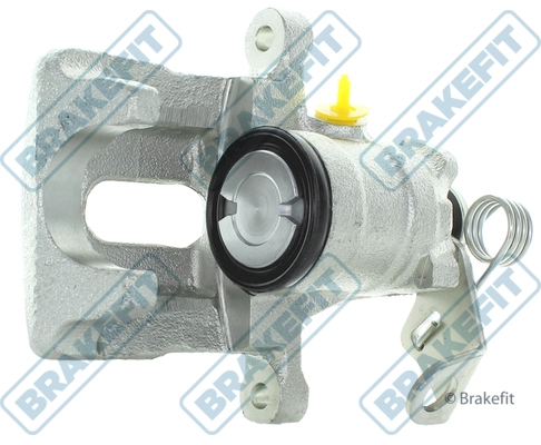 BCA1022