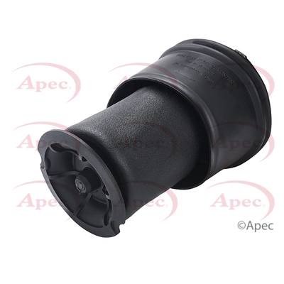 AAS1011