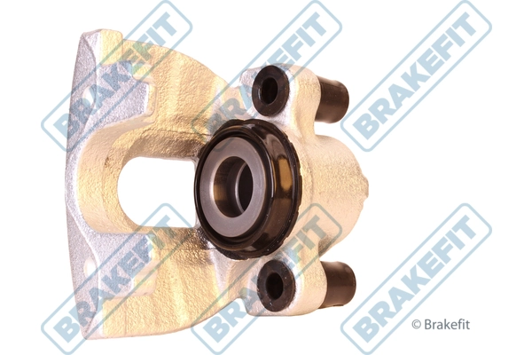 BCA1018