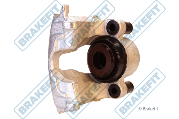 BCA1010