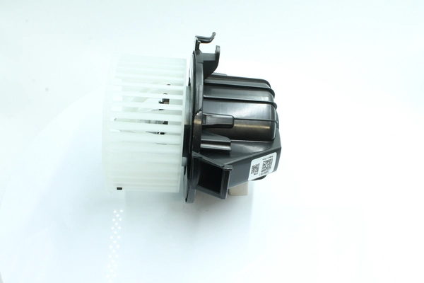 7200181