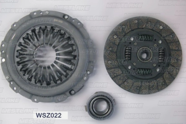 WSZ022