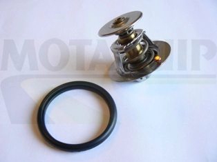 VTK61