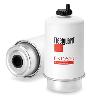 FS19810