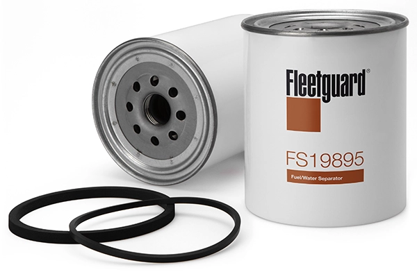 FS19895