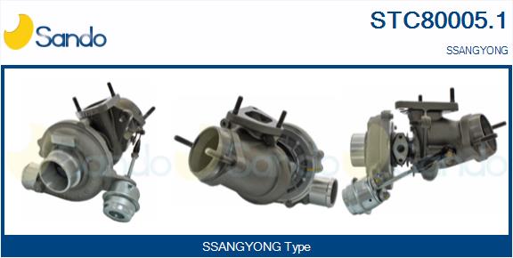 STC80005.1