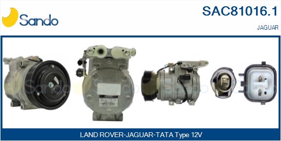 SAC81016.1