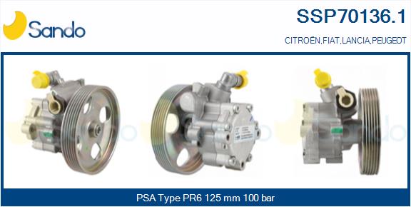 SSP70136.1