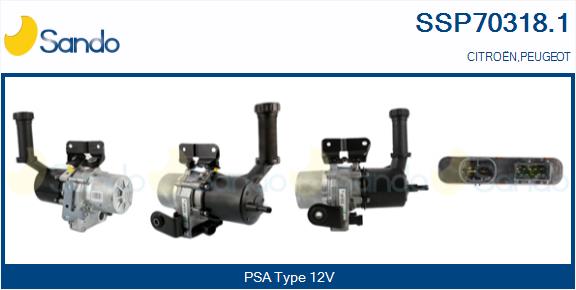 SSP70318.1