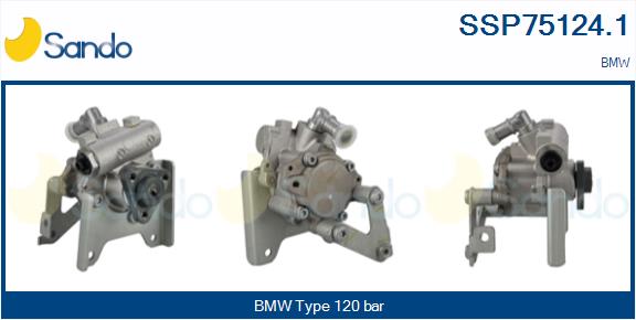 SSP75124.1