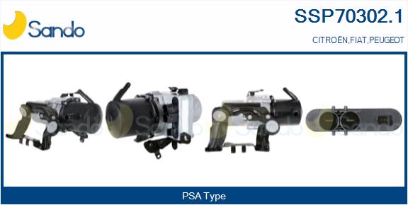 SSP70302.1
