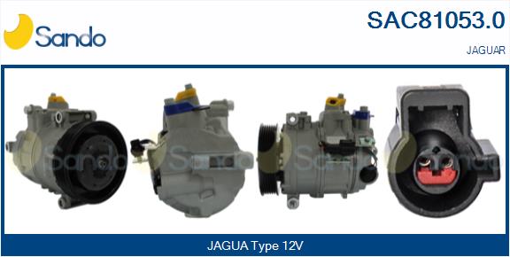 SAC81053.0