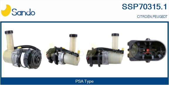 SSP70315.1