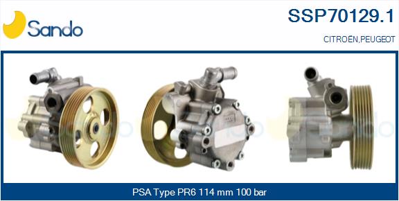 SSP70129.1