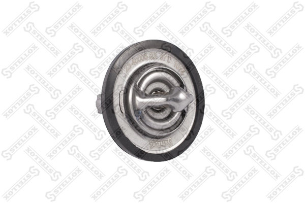 60124378