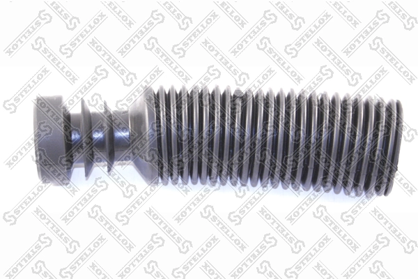 B21628110B*