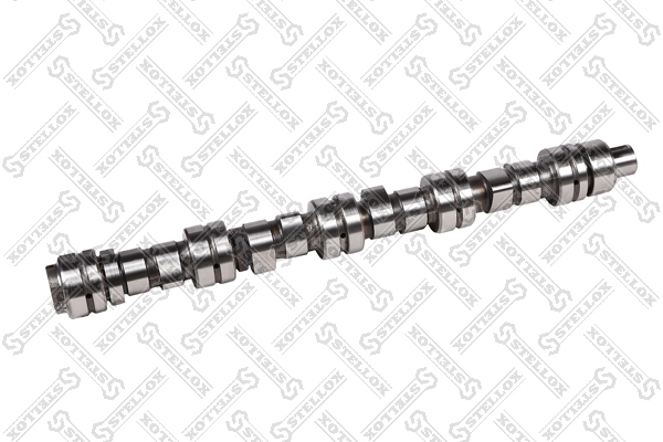 81SM6251LE