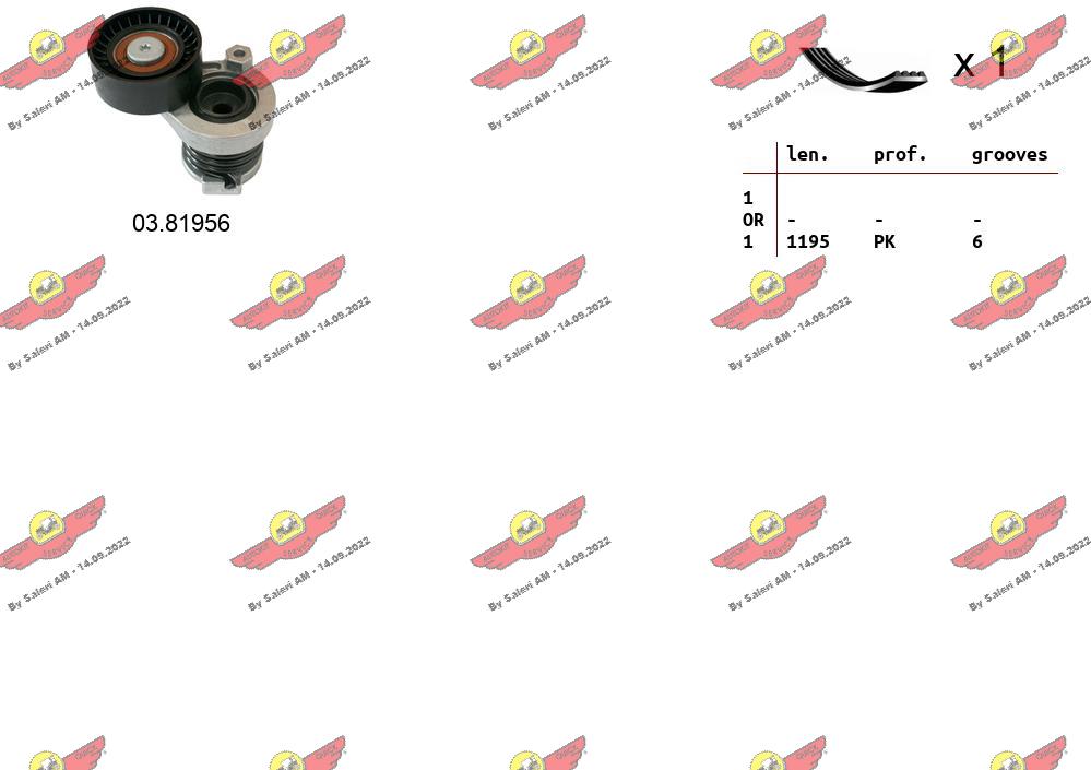 117206096R