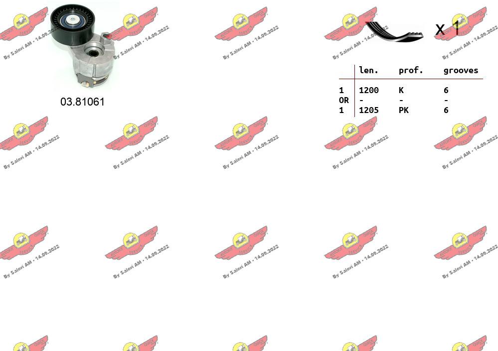 117206843R