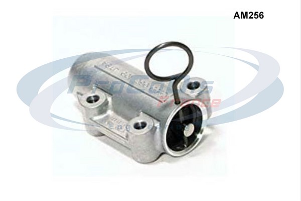AM256