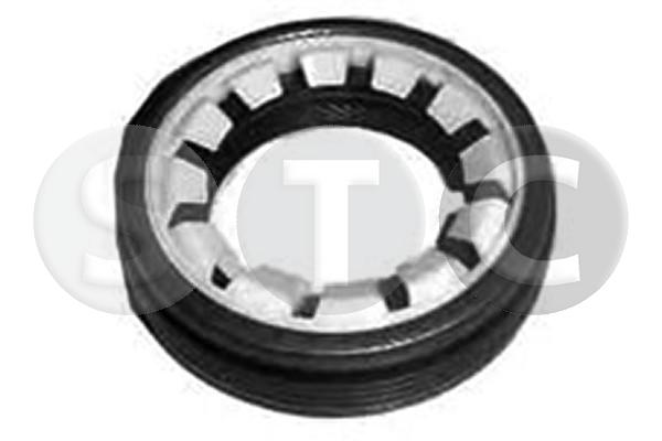 T445097