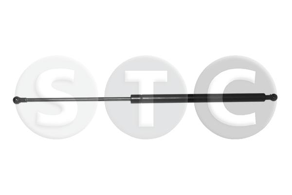 T446499