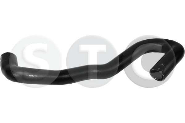 T498164