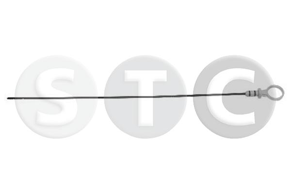 T404731